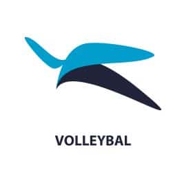 VILO VOLLEYBAL